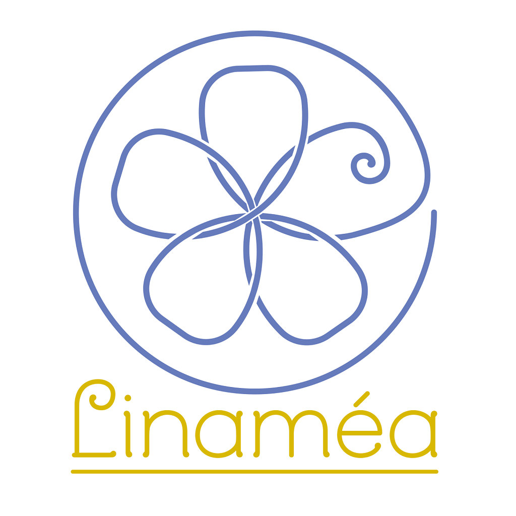 logo-Linamee-Plan-de-travail-1.jpg
